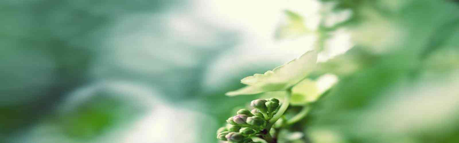 1277星际电子游戏